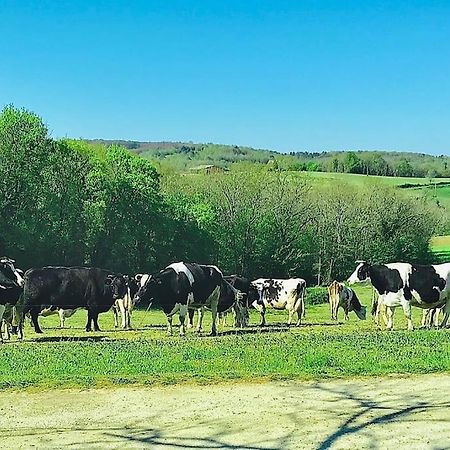 « Le Vieux Hangar » Gite A La Ferme Truffe ภายนอก รูปภาพ
