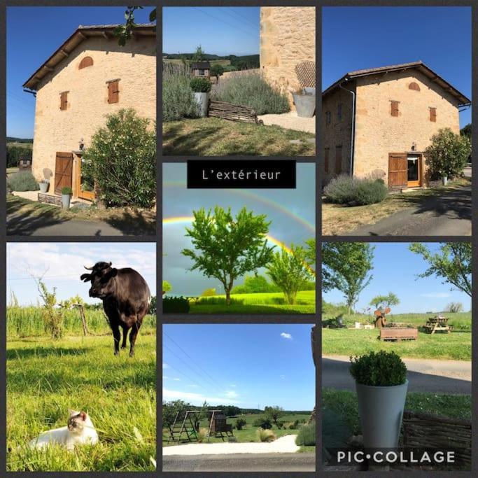 « Le Vieux Hangar » Gite A La Ferme Truffe ภายนอก รูปภาพ
