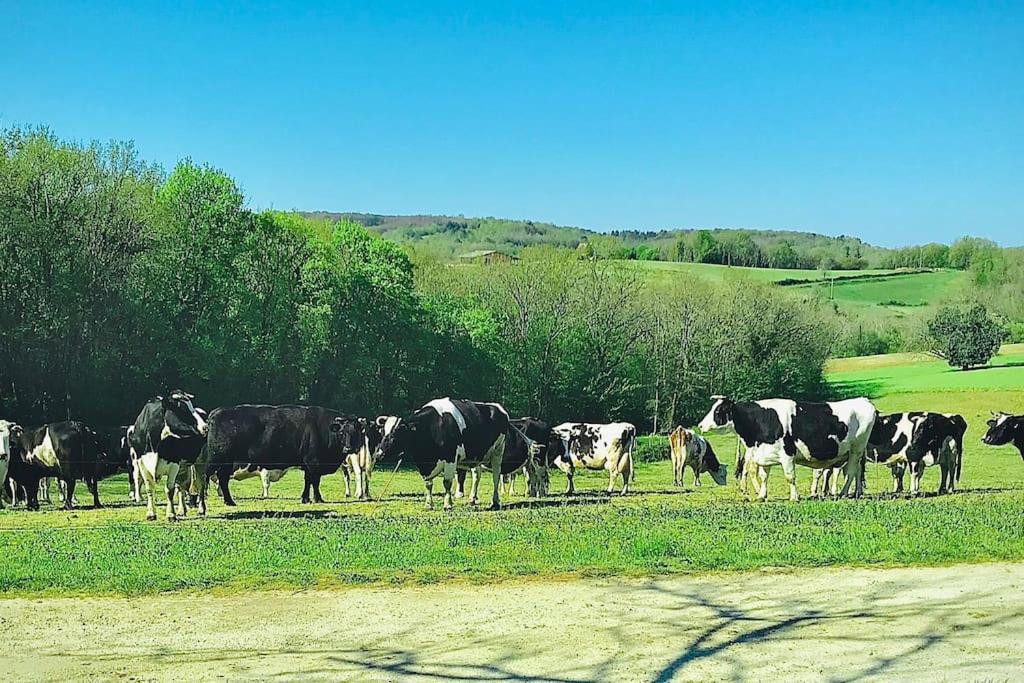 « Le Vieux Hangar » Gite A La Ferme Truffe ภายนอก รูปภาพ
